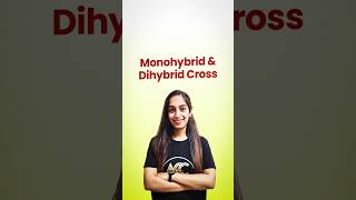 Monohybrid and Dihybrid Cross [upl. by Zullo]