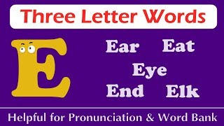 English Words  3 Letter Words From E  Three Letter Words  Reading Practice  PDM CHILD STUDY [upl. by Ysac]