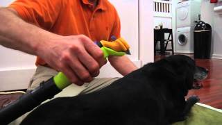 FURMINATOR VACUUM ACCESSORY DEMO [upl. by Aldin663]