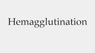 How to Pronounce Hemagglutination [upl. by Harmaning364]