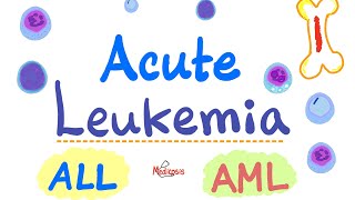 Acute Leukemia  ALL and AML  Hematology and Oncology Series [upl. by Sauveur977]