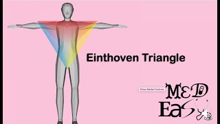 einthoven triangle [upl. by Jegar476]