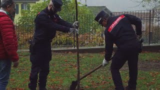 Giornata dellalbero incontro con i Carabinieri Forestali [upl. by Robma]