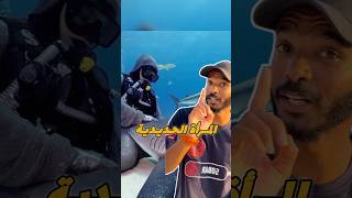 المرأة الحديدية  إنقاذ اسماك القرش  🤯 غوص diving scubadiving [upl. by Aeriel772]