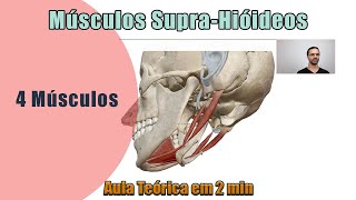 Músculos SupraHióideos  Teórica  Anatomia Humana [upl. by Ahsias]