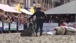 Spaanse paardenshow Los del Sol met Spaanse muziek en dans in Vianen [upl. by Stubstad135]