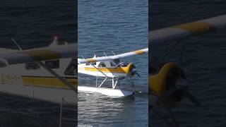 DHC2 Beaver Seaplane Takeoff [upl. by Freda380]