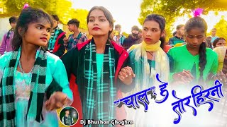 Chaen Saadi Dance video2024चाल है तोर हिरनीsuper hit old is gold nagpuri song StdanceJharkhand [upl. by Zicarelli]