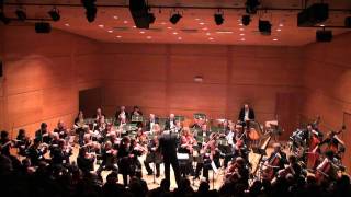 Concerto pour Violon de Tchaikovsky  1er Mouvement [upl. by Rokach]