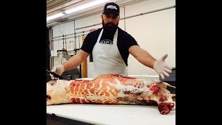 The Best How to Butcher a Deer Video EVER by The Bearded Butchers at Whitefeather Meats [upl. by Schwitzer771]