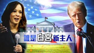 🔴Live／【2024決戰白宮】東森新聞直擊選舉戰場116三0600│2024美國總統選舉開票特別報導 ebcCTime [upl. by Gibrian995]