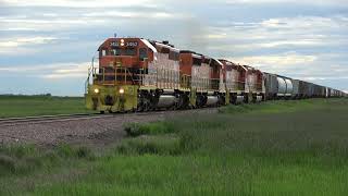 Railfanning the BNSF Aberdeen Sub and the RCPE May 31June 1 2024 [upl. by Sigismundo]