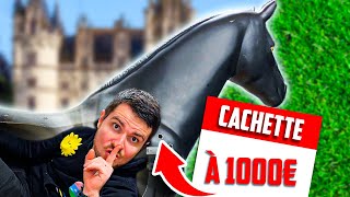 CACHE CACHE EXTRÊME 1000€ pour se cacherje suis dans un cheval [upl. by Melvyn]