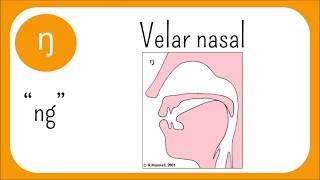 The Sounds Of English Episode 3 Nasals and Approximants Sonorants [upl. by Vincenta]