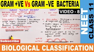 Gram Positive Vs Gram Negative Bacteria in Hindi  Biological Classification Class 11  NEET 202223 [upl. by Notlem]