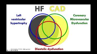 Coronary microvascular dysfunction  PET SPECT CMR Echo  by Prof Martin Ugander 19 Oct 2022 [upl. by Lehcin]