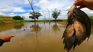 A lagoa esta enfestada de traíra e acara Pescaria caipira com resultados surpreendentes [upl. by Drof978]