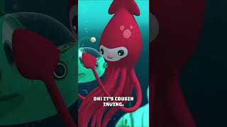 Octonauts  🐙 Inklings Much Larger Cousin  The Giant Squid 🦑  Underwater Sea Education  shorts [upl. by Redep]