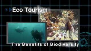 Official video of the International Year of Biodiversity 2010 [upl. by Osrit]