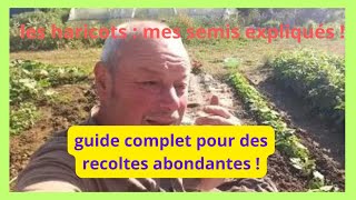 Réussir ses haricots verts  le guide complet pour des récoles abondantes 😋 [upl. by Arnon]