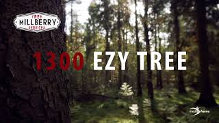 1300 EZY TREE  Millberry Tree Services [upl. by Puett]