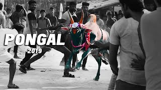 PONGAL 2019  Cinematic Video  Valluvarpuram  Tamil Nadu  John Kozmos [upl. by Ambrogio]