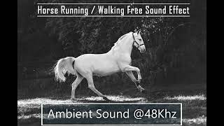 Free Horse Running  Walking Sound  Free Sound Effect  No Copyright Free Foley Sound [upl. by Itsrejk]