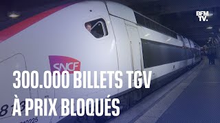 SNCF 300000 billets TGV à 29 39 ou 49 euros pour le mois daoût [upl. by Norga]