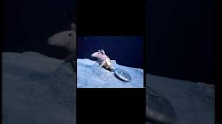 Heres The Clangers from the 60s 60s nostalgia theclangers anotherthrowback backintheday [upl. by Ilrebmyk258]