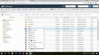 How To download entire website or folders from cPanel to local drive [upl. by Ana]