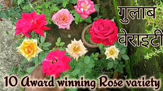 Best 10 Rose variety name amp Care गुलाब के कुछ सुंदर वैरायटी नाम और उसका देखभाल बरसात में [upl. by Weide]