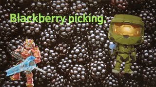 Blackberry picking 🫐 [upl. by Ecinrev399]