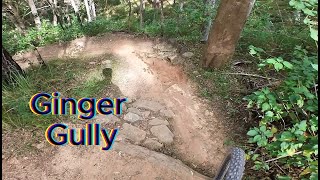 Cornubia MTB Ginger Gully [upl. by Aihsoj520]