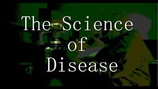 The Science of Disease World War Z 2013 vs Contagion 2011 [upl. by Clint]