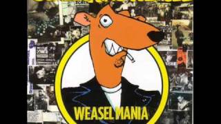 Screeching Weasel  What We Hate [upl. by Ader]