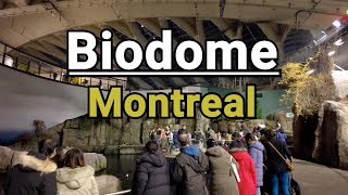 Montreal Biodome  High Quality Complete Tour [upl. by Tessa961]