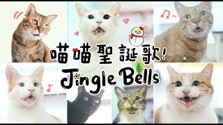 【黃阿瑪的後宮生活】喵喵聖誕歌！Jingle Bells！ [upl. by Aldis]