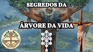 O ENIGMA DA ÁRVORE DA VIDA Descubra Seu Significado Oculto [upl. by Haeluj]