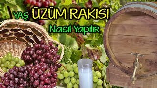 Yaş Üzüm Rakısı çift Göbek Rakısı [upl. by Jennette169]