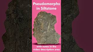 Pseudomorph Structures in Siltstone Identified [upl. by Ahso]