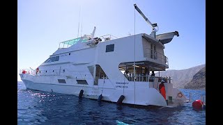 MV SOUTHERN SPORT LIVEABOARD  diving cruises in Mexico DIVE THE WORLD [upl. by Clarhe613]