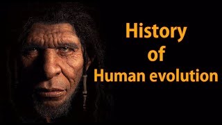 History of Human Evolution [upl. by Inal]