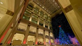 Silent night Wanamaker organ [upl. by Christopher]