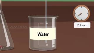 Role of Carbon dioxide During Respiration  MeitY OLabs [upl. by Htidra526]