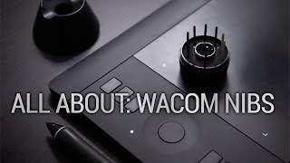 All About Wacom Stylus Nibs [upl. by Budde]