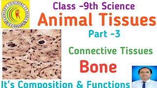 Class9thscience Connective tissue Bone Part3 [upl. by Akived686]