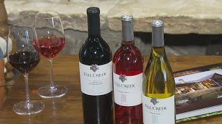 Celebrating National Drink Wine Day at Fall Creek Vineyards  FOX 7 Austin [upl. by Emoraj564]