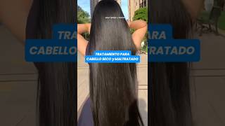 COMO REPARAR EL CABELLO SECO Y MALTRATADO shorts receta cabello cabellolargo belleza [upl. by Gabi882]