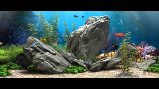 3D Fish Aquarium  219 Live Wallpaper  1080p [upl. by Beichner]