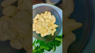 ghee roasted masala cashew quick snack recipe shortvideo [upl. by Anevad]